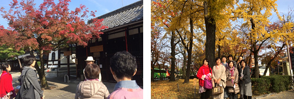 京都ミステリーツアーに参加