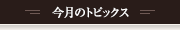 今月のトピックス